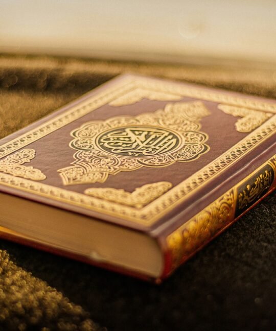 The Role of Women in the Quran: Equality, Rights, and Empowerment