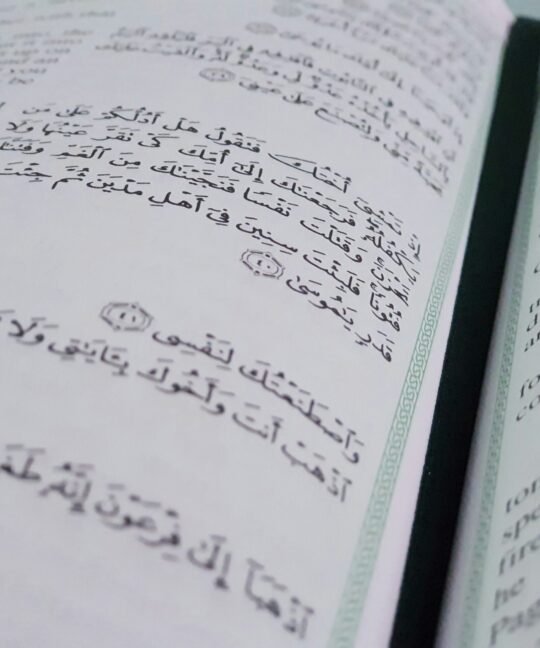 The Influence of Arabic Language on European Vocabulary